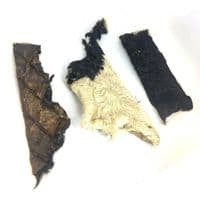 NATURAL Hairy Beef Skin Strips Flats Fur Lengths  -  20-30cm - LONG CHEW TIME - Pawstrading Skins