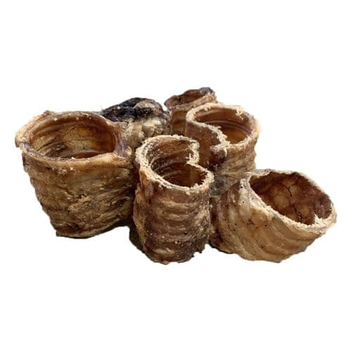 NATURAL TREATS 100% Dog Treat Chew Beef Moo Tubes Trachea Cut approx 5cm-10cm GREAT FOR SMALL DOGS