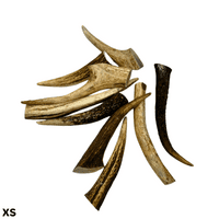NATURAL TREATS Deer Antler Dog Chew - Various Sizes