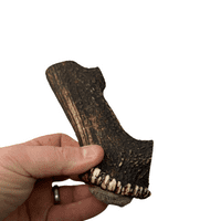 NATURAL TREATS Deer Antler Dog Chew - Various Sizes