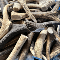 NATURAL TREATS Deer Antler Dog Chew - Various Sizes