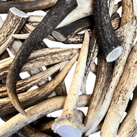 NATURAL TREATS Deer Antler Dog Chew - Various Sizes