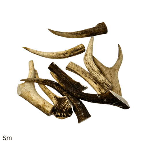 NATURAL TREATS Deer Antler Dog Chew - Various Sizes