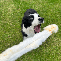 NATURAL TREATS Furry Rabbit Skin Lengths PREMIUM  Dog Chew Treat Approx 50CM