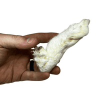 NATURAL TREATS Hairy Furry Rabbits Feet - 100% Natural