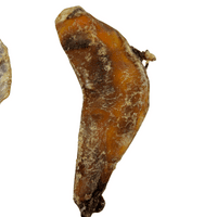 NATURAL TREATS Moon Bone - Natural Dog Chew - Beef Cartlidge