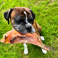 NATURAL TREATS Moon Bone - Natural Dog Chew - Beef Cartlidge