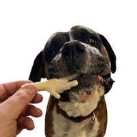 NATURAL TREATS PUFFED CHICKEN FEET - Natural Puff White Foot Dog Food Snack Tasty Pet Treat