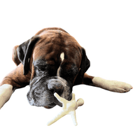 NATURAL TREATS PUFFED CHICKEN FEET - Natural Puff White Foot Dog Food Snack Tasty Pet Treat