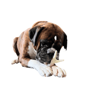 NATURAL TREATS PUFFED CHICKEN FEET - Natural Puff White Foot Dog Food Snack Tasty Pet Treat