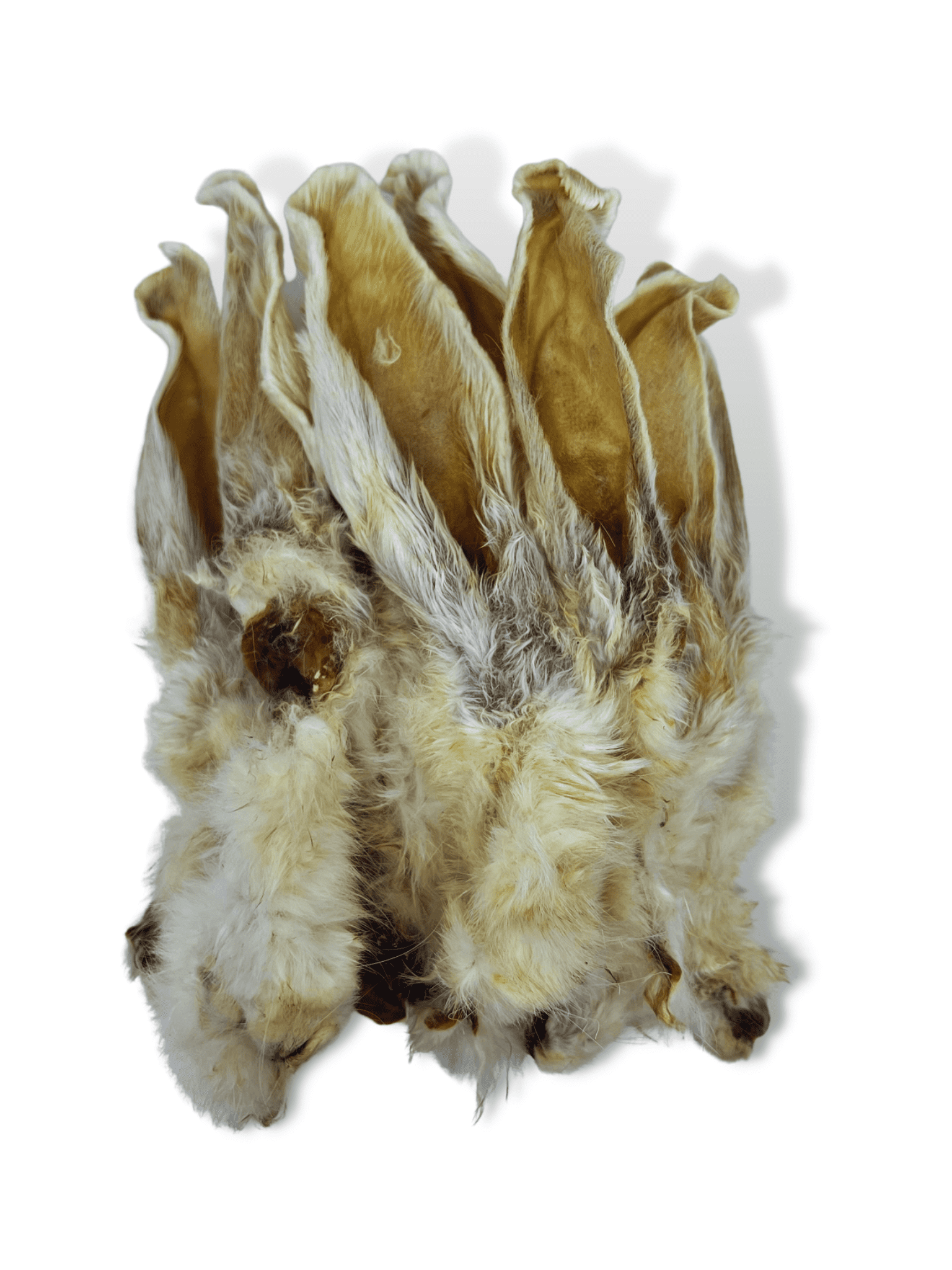 Are Rabbit Ears Good For Dogs