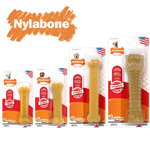 Nylabone Dog Chew Bone CHICKEN Flavour Small Med Large XL