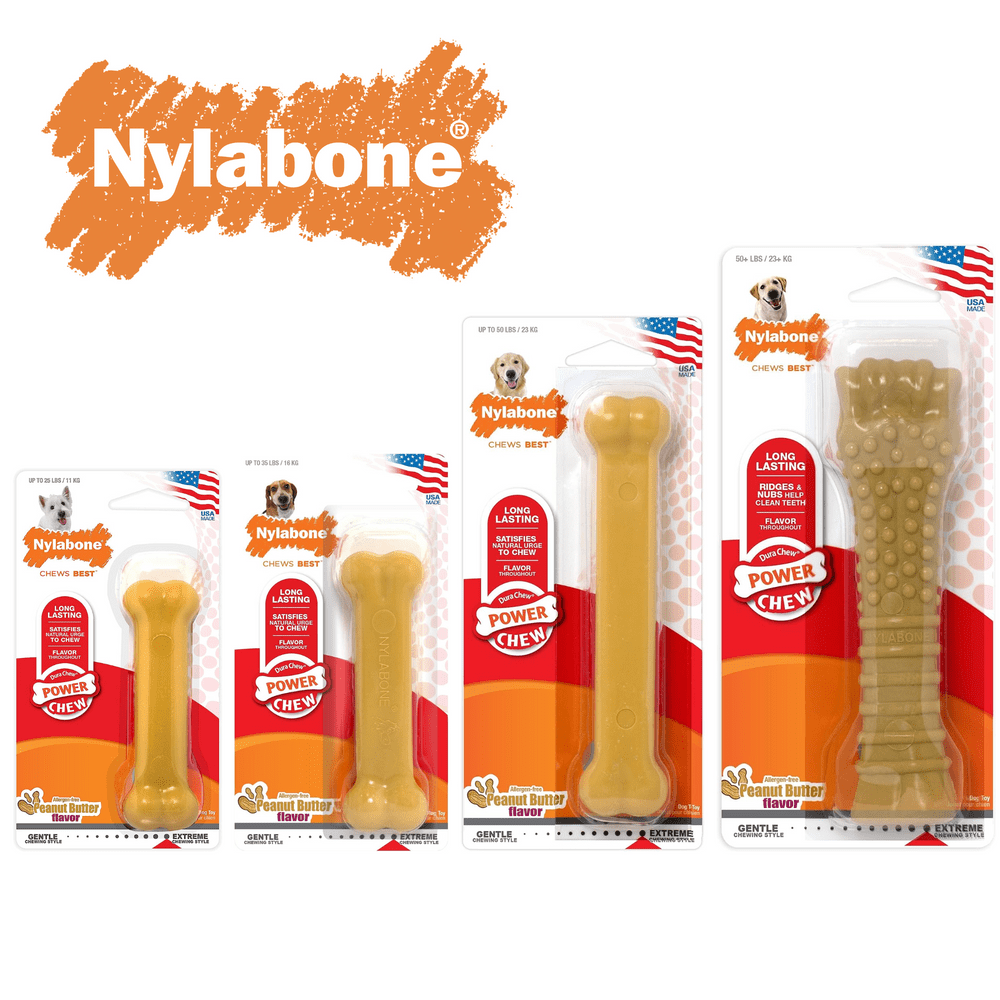 Nylabone large shop