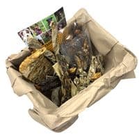 Paws Box Variety Luxury Fish Skippers Dog Chew Treats 100% Fish