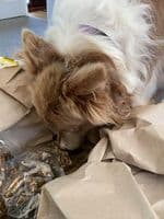 Paws Box Variety Luxury Fish Skippers Dog Chew Treats 100% Fish