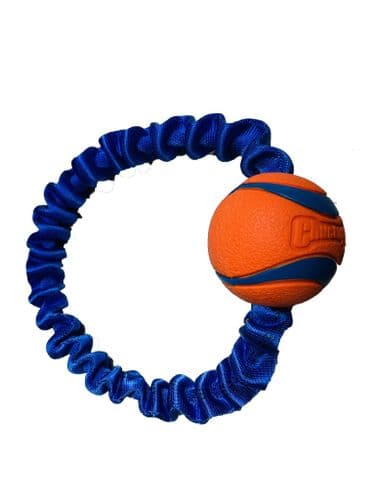 Paws Made™ Bungee Chuckit Ring
