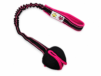 Paws Made™ Bungee Paws Pocket™ Advanced Agility Training Ball Easy Reward Treat