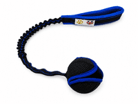 Paws Made™ Bungee Paws Pocket™ Advanced Agility Training Ball Easy Reward Treat