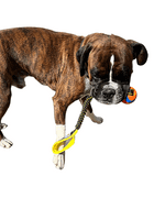 Paws Made ™ Bungee Ultra Chuckit Ball Small/Medium/Large - One of the strongest balls on the market!