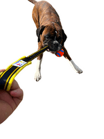 Paws Made ™ Bungee Ultra Chuckit Ball Small/Medium/Large - One of the strongest balls on the market!