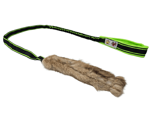 Paws Made™ Bunny Chaser Extra Long XL Bungee Chaser Rabbit Tugger
