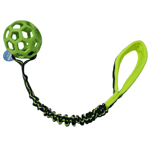 Paws Made ™ Cage holee ball With Luxury Bungee Handle Dog training tug toy