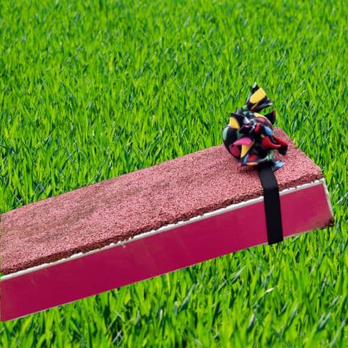 Paws Made™ Candy Catch Diver Package - Great Contact Trainer