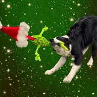 Paws Made Christmas Edition - Binch - Dog Tug Toy