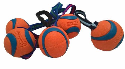 Paws Made™ Chuckit! Ultra Ball SMALL chuck it Bouncy AMAZING Balls With Webbed Handle