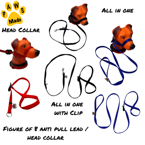 Paws Made Figure of 8 Head Collar / All in one Lead - Anti Pull Lead Head Collar