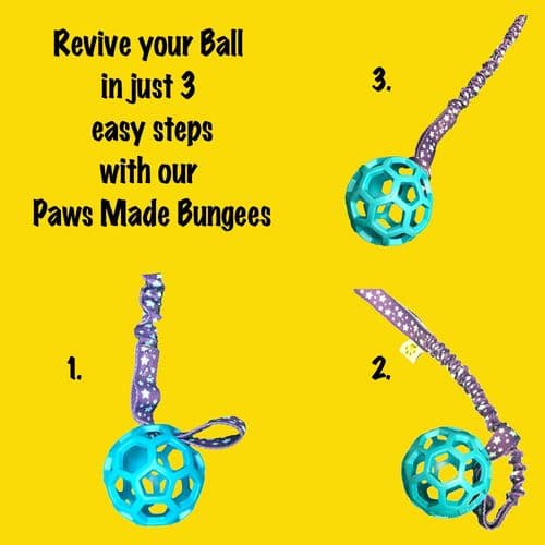 Paws Made Luxury Sport / Designer Bungee handle dog toy Tug strong elasticated Agility Fun