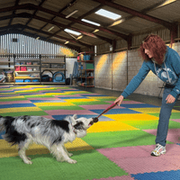 Paws Made™ Moo Moo Bungee Dog Toy Milk Udder Liner Tug