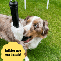 Paws Made MooGee Bungee Dog Training Toy - Sheep Rabbit Snoodle Faux