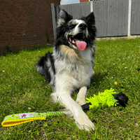 Paws Made MooGee Bungee Dog Training Toy - Sheep Rabbit Snoodle Faux