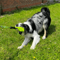 Paws Made MooGee Bungee Dog Training Toy - Sheep Rabbit Snoodle Faux