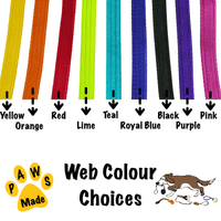 Paws Made Paws Pocket with Webbed Handle - Dog Treat Ball With Handle