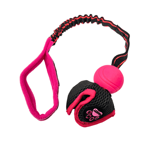 Paws Made ™ Power BUNGEE Paws Pocket™ Petal Ball -Made for more accurate throwing !