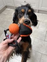 Paws Made ™ Power Paws Pocket™ Petal Ball -Made for more accurate throwing !