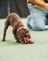 Paws Made ™ Power Paws Pocket™ Petal Ball -Made for more accurate throwing !