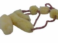 Paws Made ™  Puppy Chaser rope sheep Gentle introduction to Tugging! V1