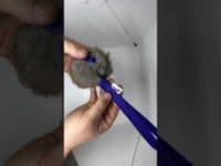 Paws Made RABBIT Paws Pocket with Webbed Handle - Dog Treat Ball With Handle