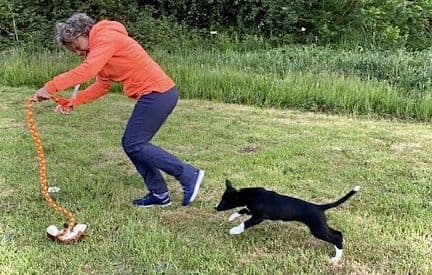 Paws Made Road Kill Chaser Roadkill Raggy Extra Long Fleece Tug