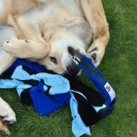 Paws Made ™ Shaggy Fleece Raggy Shaggy Tug Bungee Handle Dog Puppy Toy