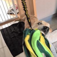 Paws Made ™ Shaggy Fleece Raggy Shaggy Tug Bungee Handle Dog Puppy Toy