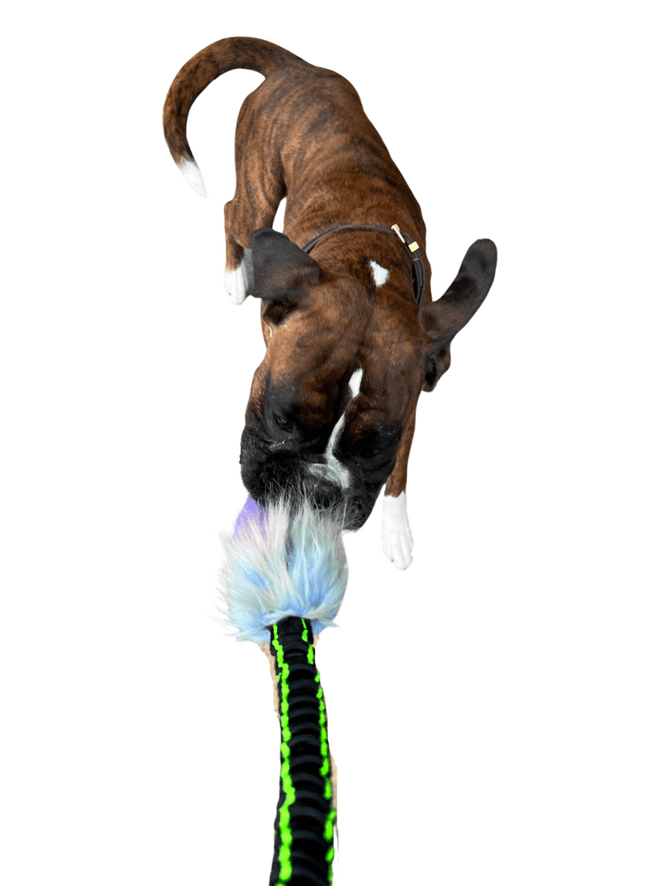 Unicorn rope dog clearance toy