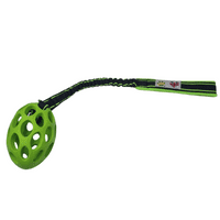 Paws Made Standard Rugby Ball With Bungee Handle  Dog agility training toy Puppy chase interactive