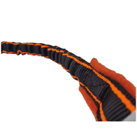 Paws Made Standard Rugby Ball With Bungee Handle  Dog agility training toy Puppy chase interactive