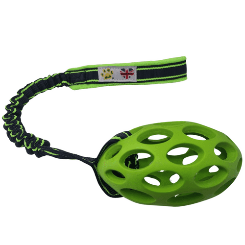 Paws Made Standard Rugby Ball With Bungee Handle Dog agility training toy Puppy chase interactive