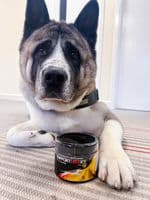 Paws Made Supportmax Joint K9  in conjunction with Strom