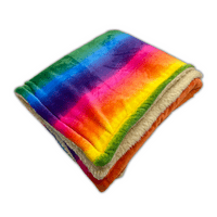 PawsMade Super Soft Blanket - RAINBOW - Crate Cage Blanket Dog Bed